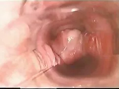 Mastürbasyon altyazılı yaşlı porno